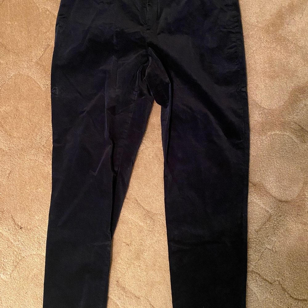 Banana Republic Velvet Sloan Pants